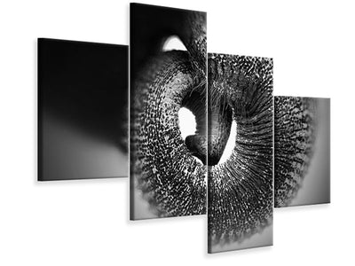 modern-4-piece-canvas-print-trunk