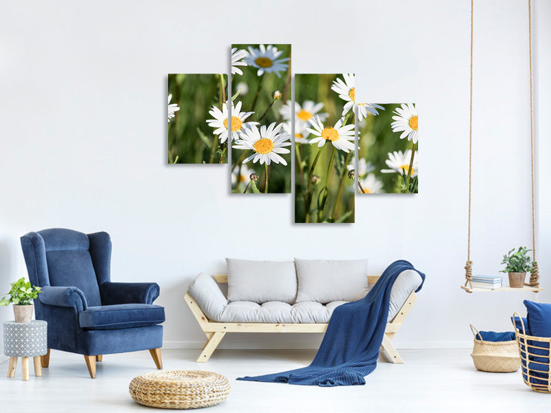 modern-4-piece-canvas-print-xl-daisies