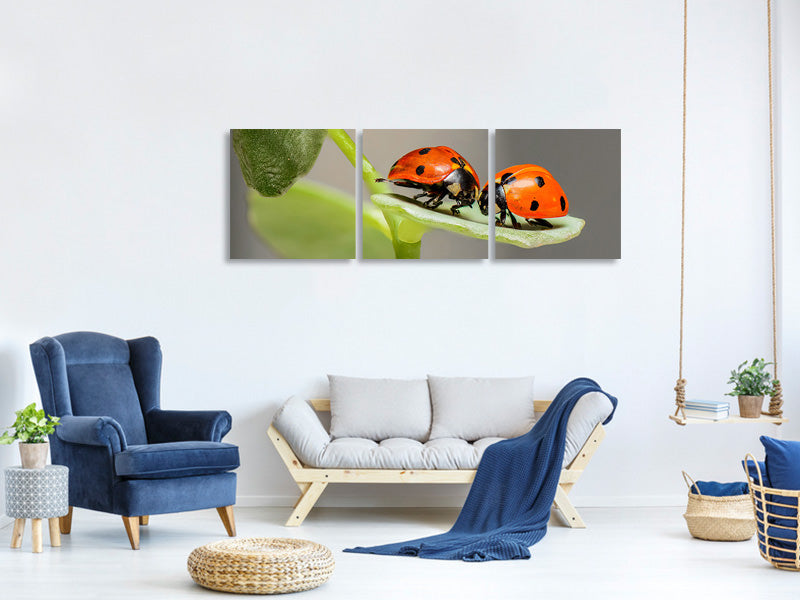 panoramic-3-piece-canvas-print-2-ladybirds