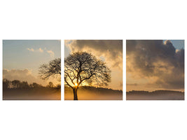 panoramic-3-piece-canvas-print-a-lonely-tree