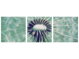 panoramic-3-piece-canvas-print-close-up-dandelion