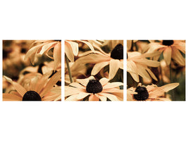 panoramic-3-piece-canvas-print-daisies-in-sepia