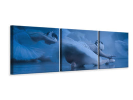 panoramic-3-piece-canvas-print-dont-shoot