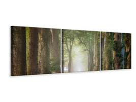 panoramic-3-piece-canvas-print-forward