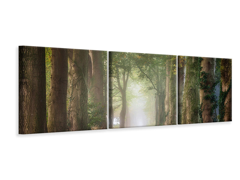 panoramic-3-piece-canvas-print-forward