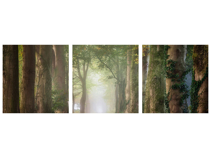 panoramic-3-piece-canvas-print-forward