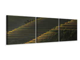 panoramic-3-piece-canvas-print-landing-fields-at-sunrise-beautiful-golden-light-shines