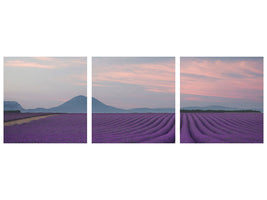 panoramic-3-piece-canvas-print-lavender-field