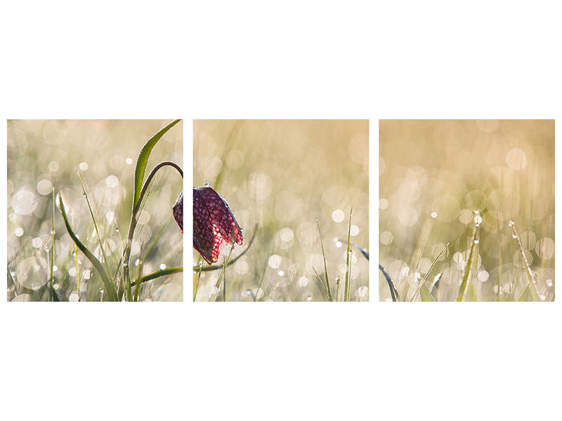 panoramic-3-piece-canvas-print-morningdew