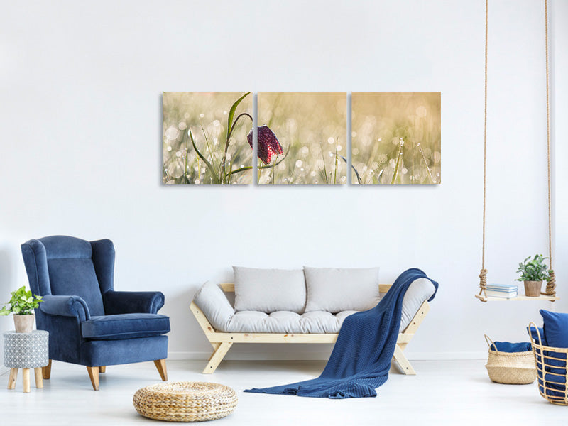 panoramic-3-piece-canvas-print-morningdew