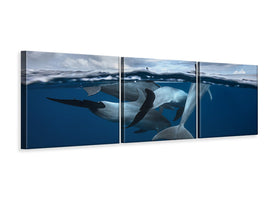 panoramic-3-piece-canvas-print-pod-of-dolphin-at-the-surface