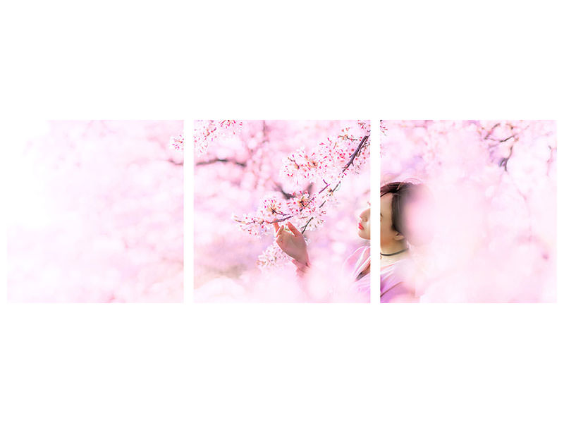 panoramic-3-piece-canvas-print-sakura