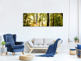 panoramic-3-piece-canvas-print-sunset-between-trees