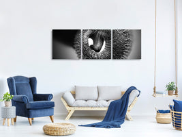 panoramic-3-piece-canvas-print-trunk