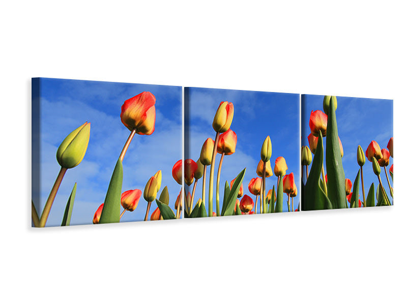 panoramic-3-piece-canvas-print-tulips-tower-to-the-sky