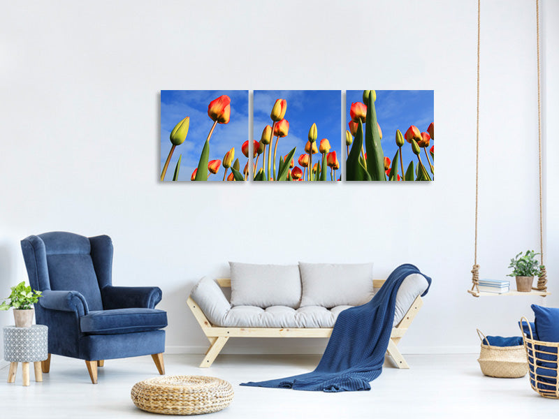 panoramic-3-piece-canvas-print-tulips-tower-to-the-sky