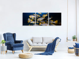 panoramic-3-piece-canvas-print-underwater-photography-indian-ocean-sweetlips