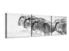 panoramic-3-piece-canvas-print-unstopable