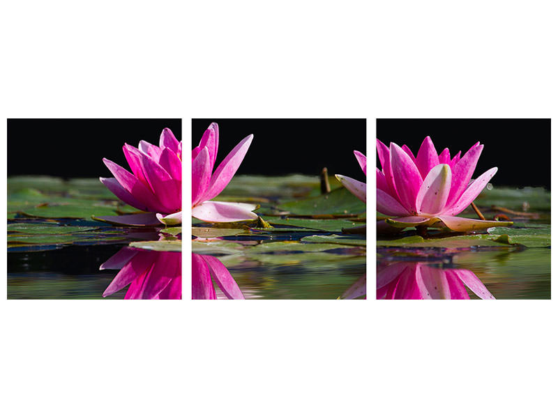 panoramic-3-piece-canvas-print-water-lilies-duo-in-pink