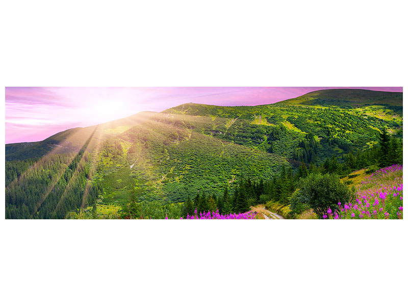 panoramic-canvas-print-a-summer-landscape-at-sunrise