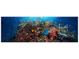 panoramic-canvas-print-apnea