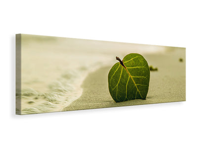panoramic-canvas-print-beach-leaf