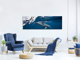 panoramic-canvas-print-bottlenose-dolphin-turciops-aduncus