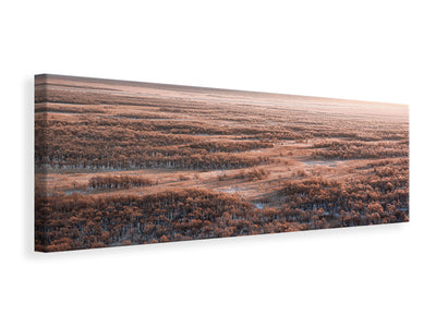 panoramic-canvas-print-dawn