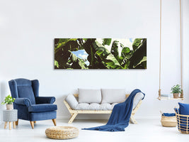 panoramic-canvas-print-in-the-middle-of-the-jungle