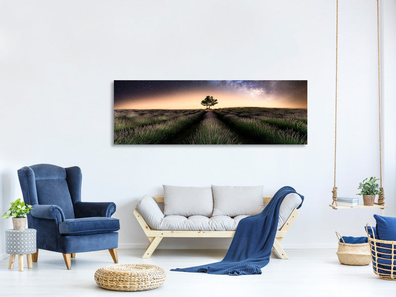 panoramic-canvas-print-lavender-way
