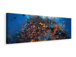 panoramic-canvas-print-life-explosion