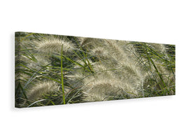 panoramic-canvas-print-ornamental-grass-in-the-wind