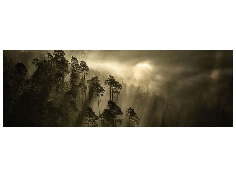 panoramic-canvas-print-streiflichter