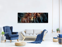 panoramic-canvas-print-zanzibar-whip-coral-shrimp